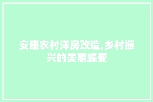 安康农村洋房改造,乡村振兴的美丽蝶变