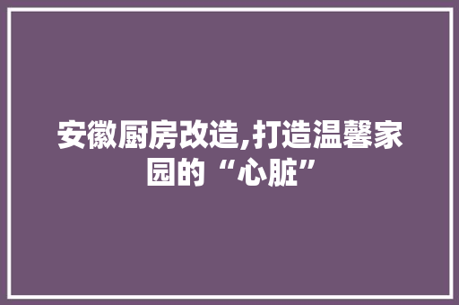 安徽厨房改造,打造温馨家园的“心脏” 装修攻略