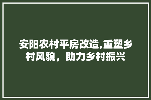 安阳农村平房改造,重塑乡村风貌，助力乡村振兴