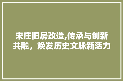 宋庄旧房改造,传承与创新共融，焕发历史文脉新活力