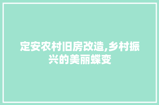 定安农村旧房改造,乡村振兴的美丽蝶变