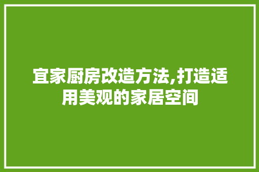 宜家厨房改造方法,打造适用美观的家居空间