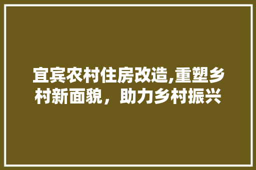 宜宾农村住房改造,重塑乡村新面貌，助力乡村振兴