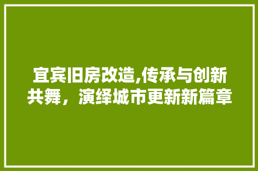 宜宾旧房改造,传承与创新共舞，演绎城市更新新篇章 装修材料