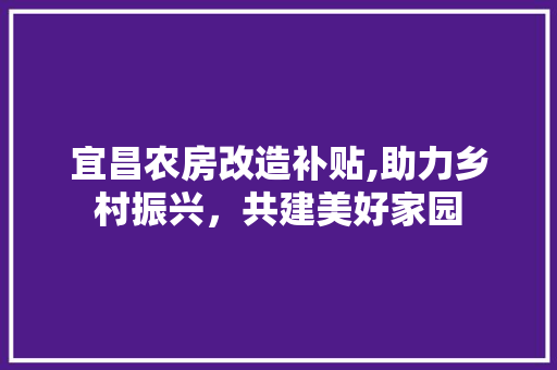宜昌农房改造补贴,助力乡村振兴，共建美好家园