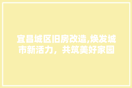 宜昌城区旧房改造,焕发城市新活力，共筑美好家园