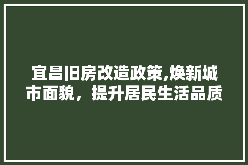 宜昌旧房改造政策,焕新城市面貌，提升居民生活品质