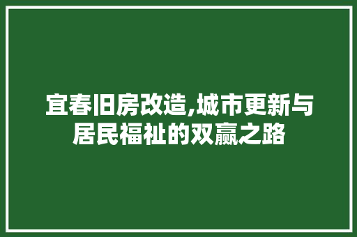 宜春旧房改造,城市更新与居民福祉的双赢之路 装修材料