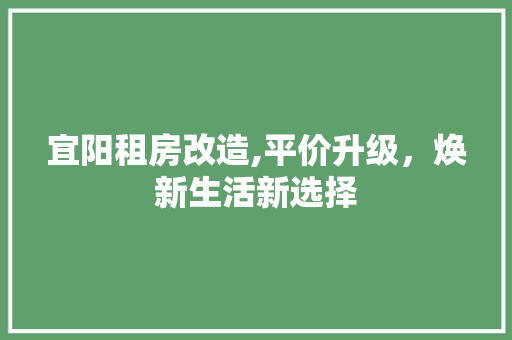 宜阳租房改造,平价升级，焕新生活新选择