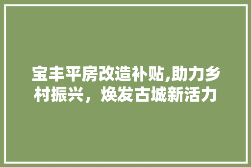 宝丰平房改造补贴,助力乡村振兴，焕发古城新活力