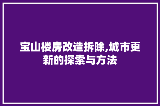 宝山楼房改造拆除,城市更新的探索与方法