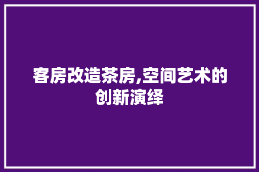 客房改造茶房,空间艺术的创新演绎