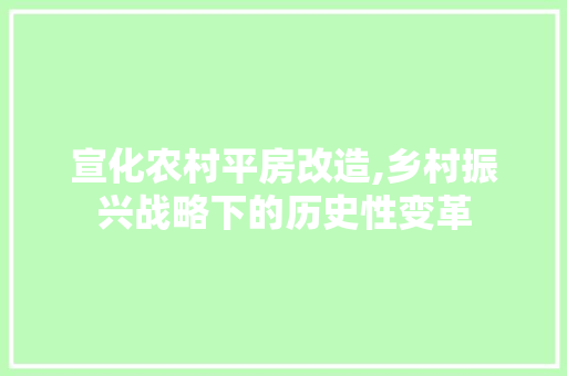 宣化农村平房改造,乡村振兴战略下的历史性变革 墙面装饰