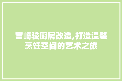 宫崎骏厨房改造,打造温馨烹饪空间的艺术之旅