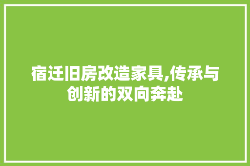 宿迁旧房改造家具,传承与创新的双向奔赴
