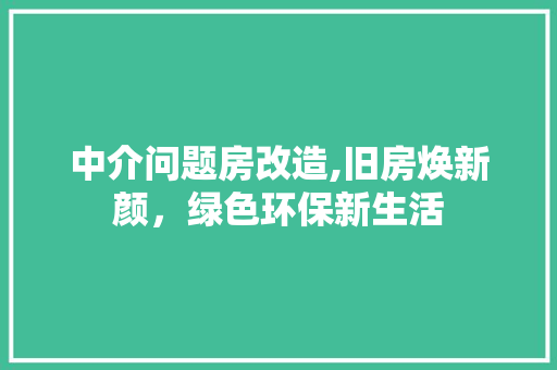中介问题房改造,旧房焕新颜，绿色环保新生活