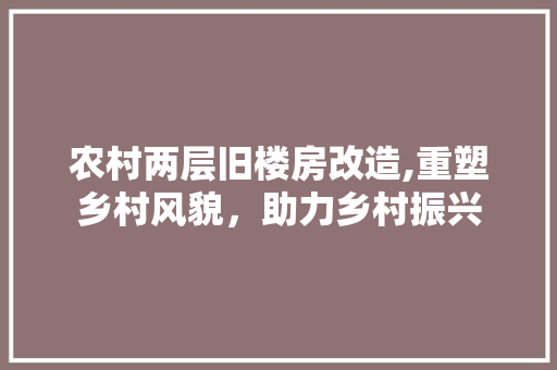 农村两层旧楼房改造,重塑乡村风貌，助力乡村振兴