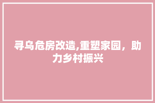寻乌危房改造,重塑家园，助力乡村振兴