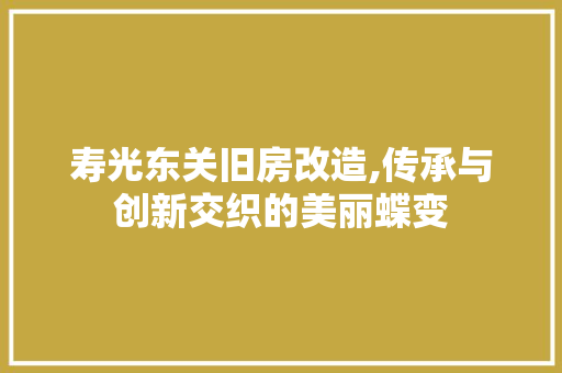 寿光东关旧房改造,传承与创新交织的美丽蝶变 墙面装饰