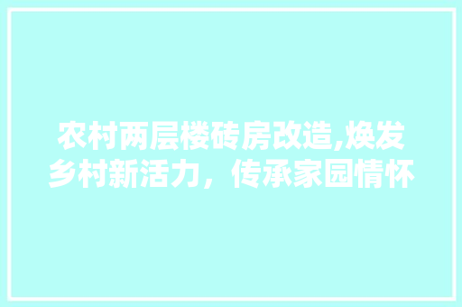 农村两层楼砖房改造,焕发乡村新活力，传承家园情怀