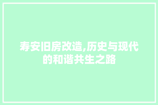 寿安旧房改造,历史与现代的和谐共生之路 墙面装饰
