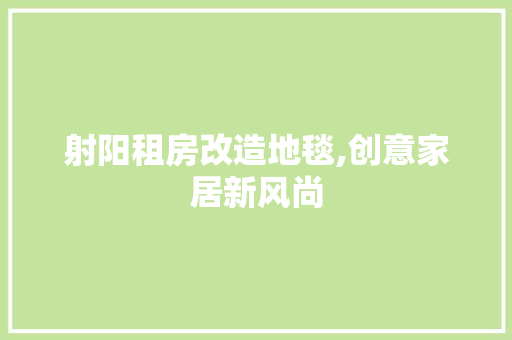 射阳租房改造地毯,创意家居新风尚