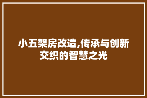 小五架房改造,传承与创新交织的智慧之光