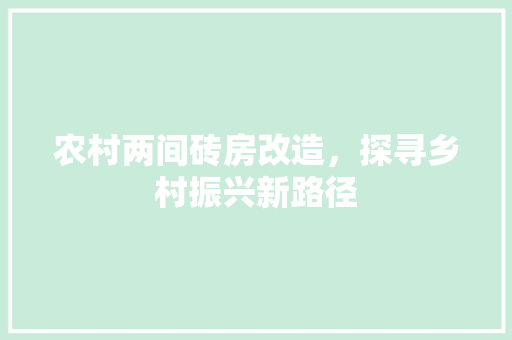 农村两间砖房改造，探寻乡村振兴新路径