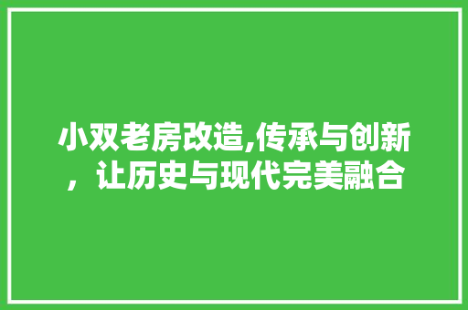 小双老房改造,传承与创新，让历史与现代完美融合
