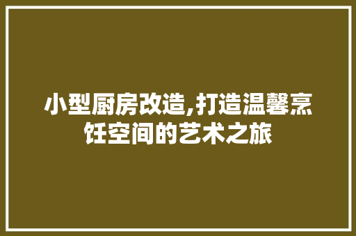 小型厨房改造,打造温馨烹饪空间的艺术之旅