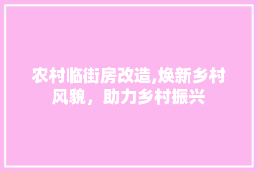 农村临街房改造,焕新乡村风貌，助力乡村振兴