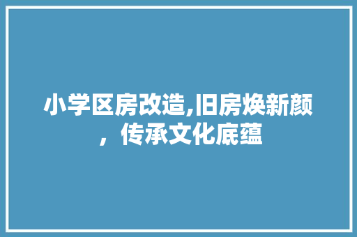 小学区房改造,旧房焕新颜，传承文化底蕴