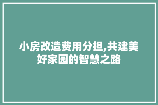小房改造费用分担,共建美好家园的智慧之路 装修材料