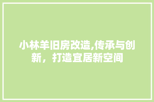 小林羊旧房改造,传承与创新，打造宜居新空间