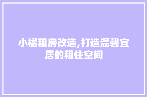 小橘租房改造,打造温馨宜居的租住空间