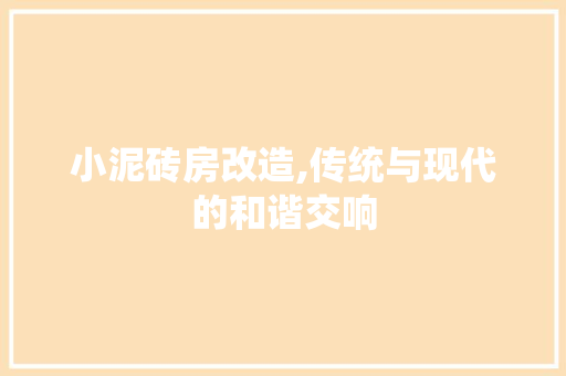 小泥砖房改造,传统与现代的和谐交响
