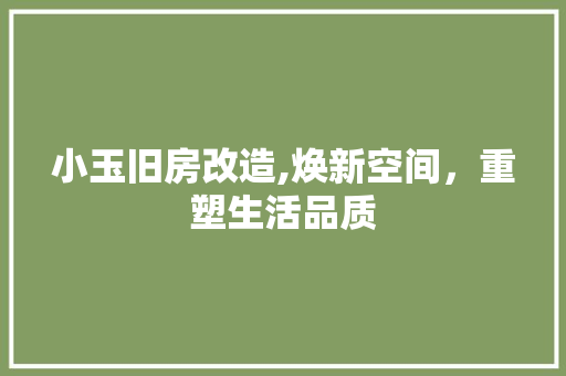 小玉旧房改造,焕新空间，重塑生活品质 装修材料