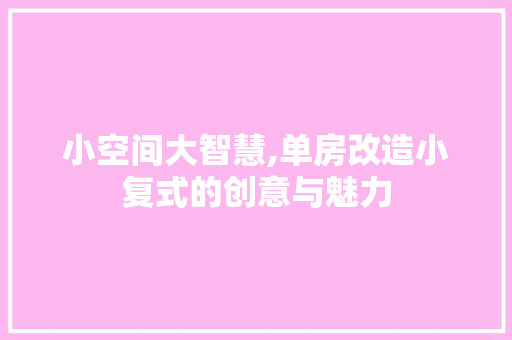 小空间大智慧,单房改造小复式的创意与魅力