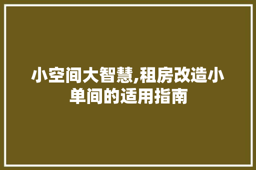 小空间大智慧,租房改造小单间的适用指南