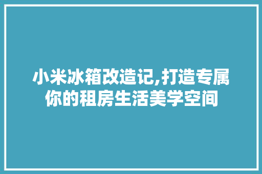 小米冰箱改造记,打造专属你的租房生活美学空间