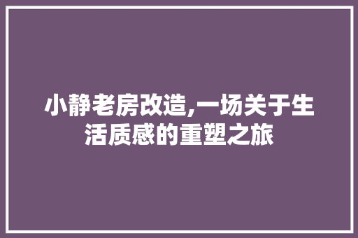 小静老房改造,一场关于生活质感的重塑之旅 建筑设计
