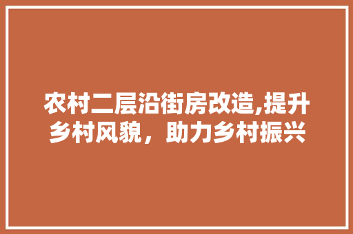 农村二层沿街房改造,提升乡村风貌，助力乡村振兴