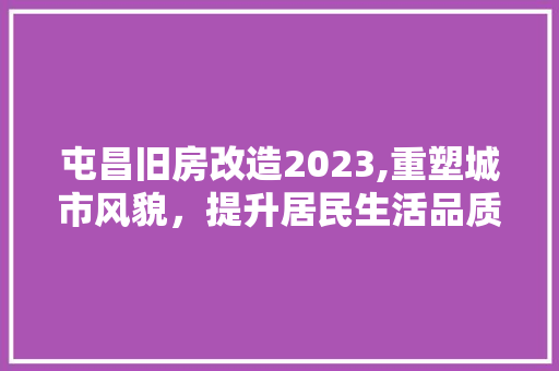 屯昌旧房改造2023,重塑城市风貌，提升居民生活品质