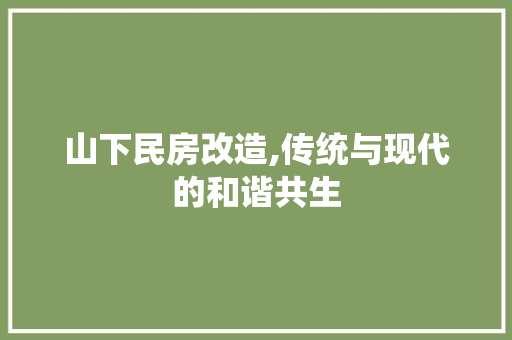 山下民房改造,传统与现代的和谐共生