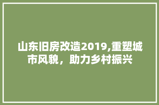 山东旧房改造2019,重塑城市风貌，助力乡村振兴