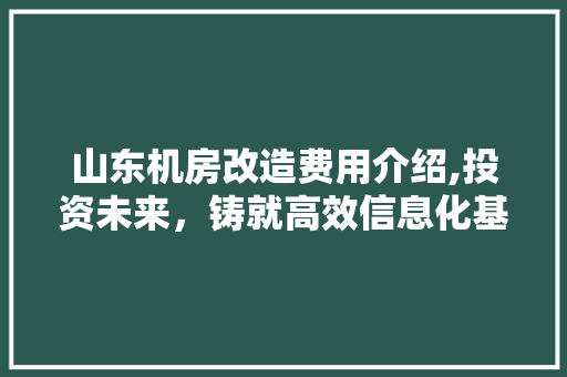 山东机房改造费用介绍,投资未来，铸就高效信息化基石 地面装修