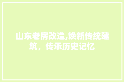 山东老房改造,焕新传统建筑,传承历史记忆 装修材料 山东老房改造,焕新传统建筑,传承历史记忆 装修材料