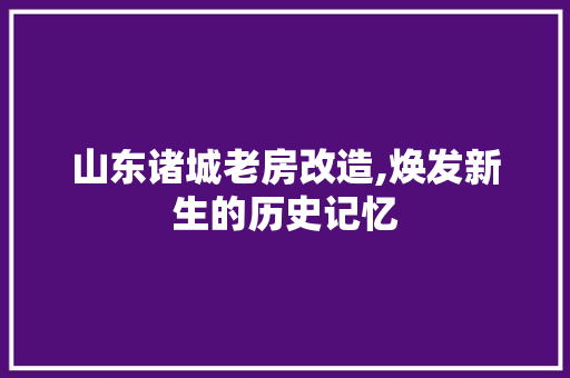 山东诸城老房改造,焕发新生的历史记忆
