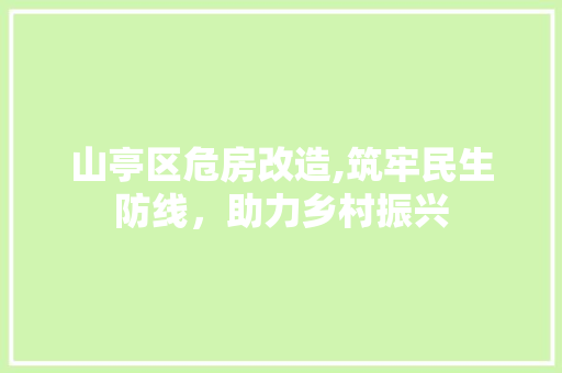 山亭区危房改造,筑牢民生防线，助力乡村振兴