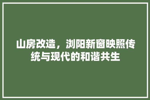 山房改造，浏阳新窗映照传统与现代的和谐共生